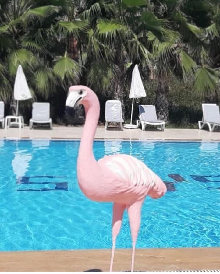 Skys Beach Hotel Manavgat Ngoại thất bức ảnh